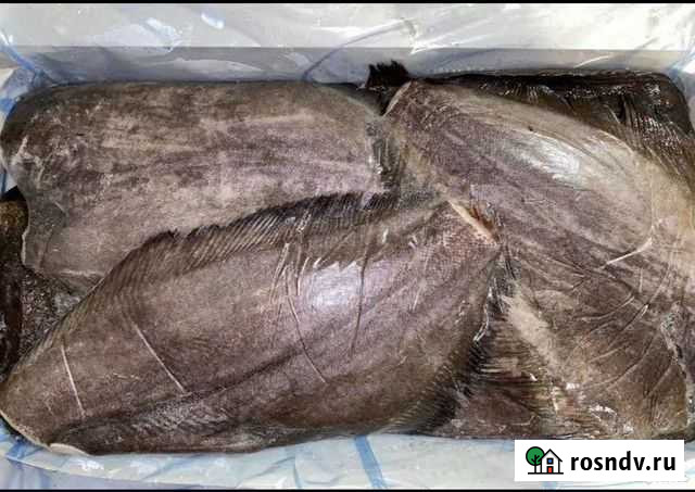 Палтус Синекорый Мурманский Дзержинск - изображение 1