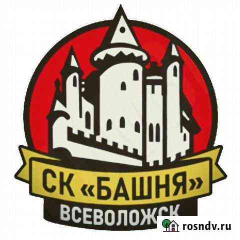 Дзюдо Мурино