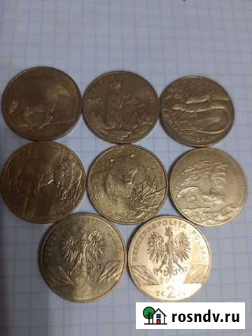 Польская красная книга Ангарск - изображение 1