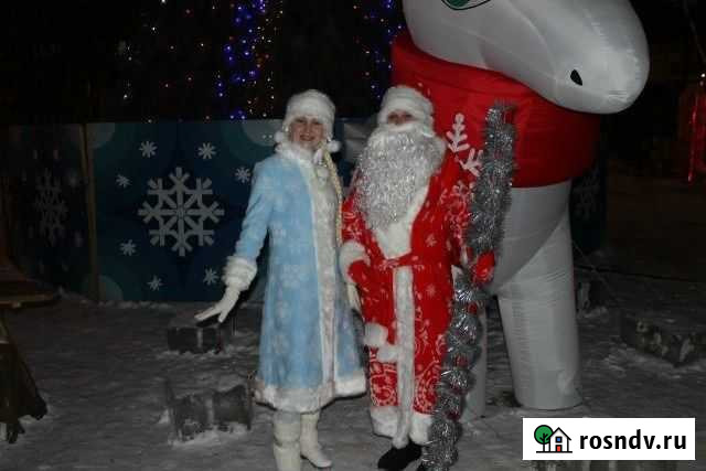 Дед Мороз и Снегурочка Бузулук - изображение 1