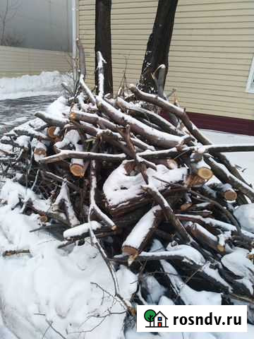 Отдам дрова бесплатно Благовещенск - изображение 1