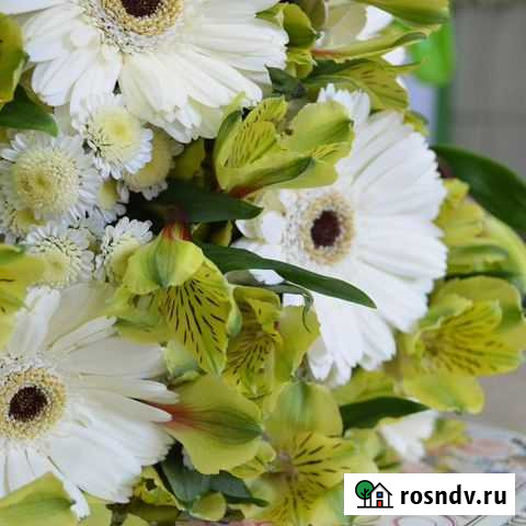 Доставка цветов и горшечных растений Красноярск - изображение 1