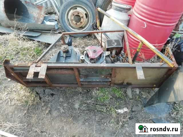 Мото собака Тобольск - изображение 1