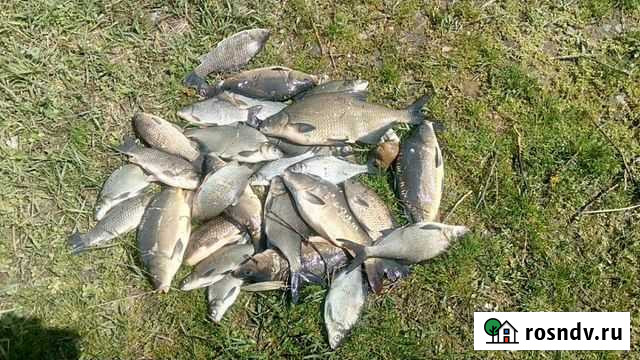 Рыбалка Великовечное - изображение 1