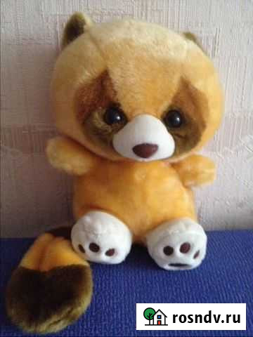 Енот Екатеринбург - изображение 1