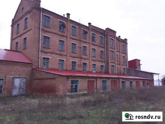 Мельница и маслоцех Белая Глина - изображение 1