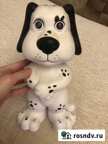 Говорящая собака Разумное - изображение 1