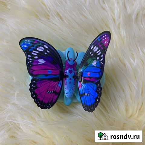 Порхающая бабочка Нижний Новгород - изображение 1