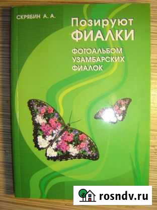 Скрябин А. Позируют фиалки Муром - изображение 1