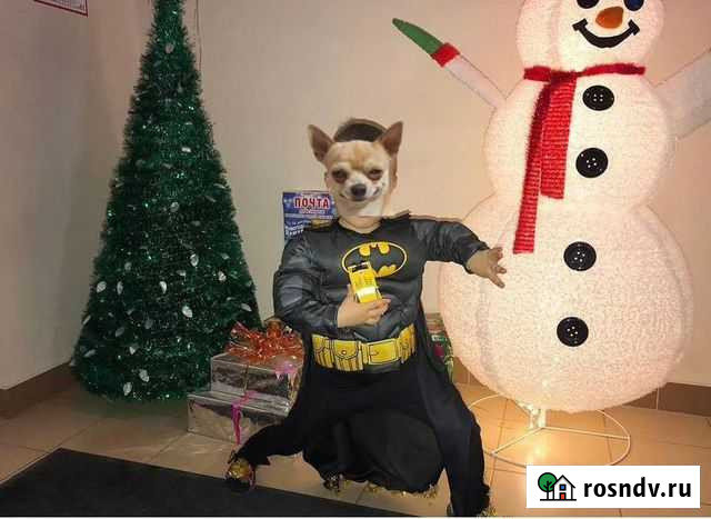 Карнавальный костюм Ростов-на-Дону - изображение 1