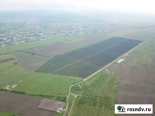 Интенсивные сады под ключ Нальчик - изображение 1