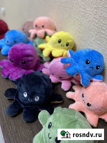 Осьминог перевертыш Рязань - изображение 1