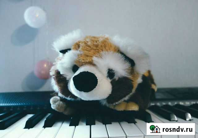 Игрушечная малая панда Ростов-на-Дону - изображение 1