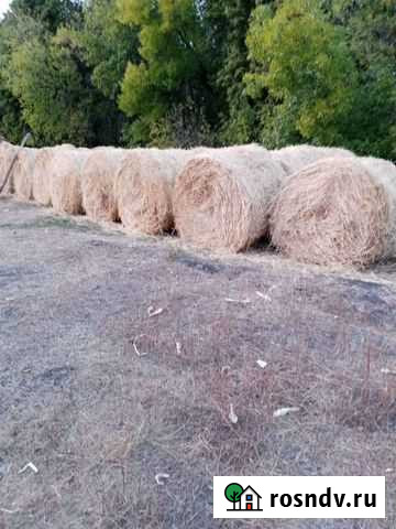 Солома Валуйки - изображение 1