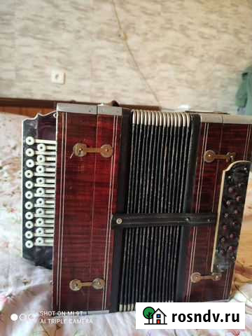 Гармонь Вологда - изображение 1