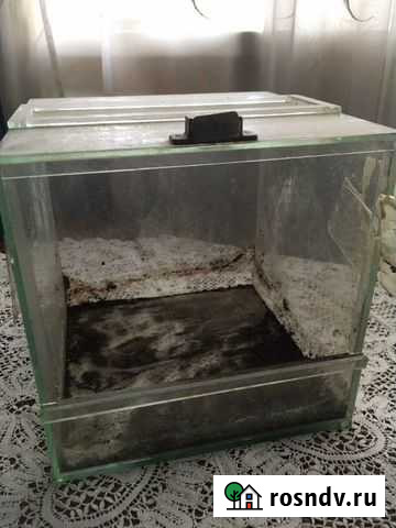 Террариум Дзержинск - изображение 1