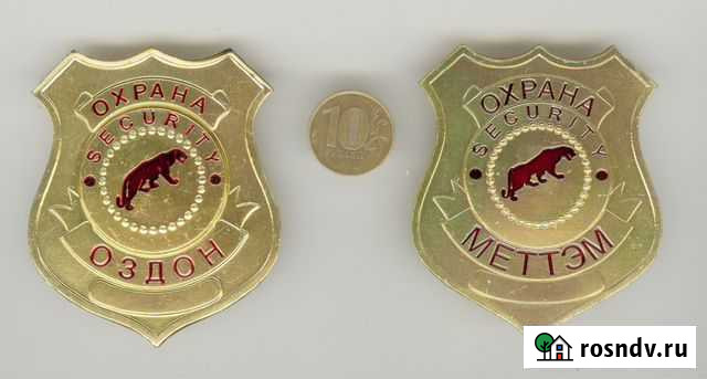 Нагрудный знак (жетон) Охраны, Люкс Челябинск - изображение 1