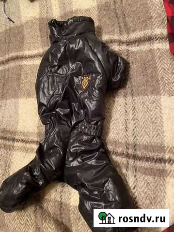 Одежда для собак Подольск - изображение 1