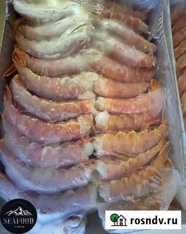 Лангустины б/г Деденево - изображение 1