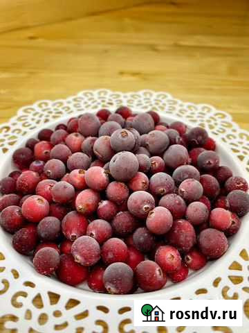 Клюква Курган - изображение 1