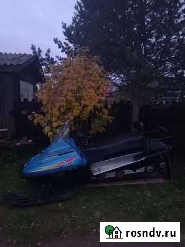 Рысь 500+ Тоншалово - изображение 1