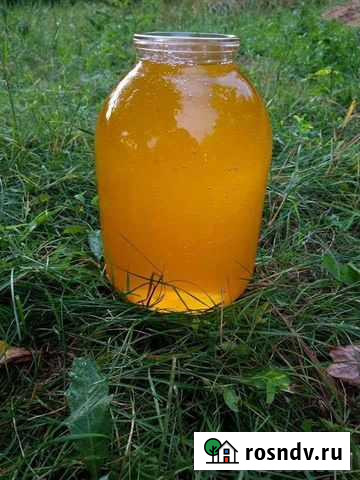 Мед Острогожск - изображение 1