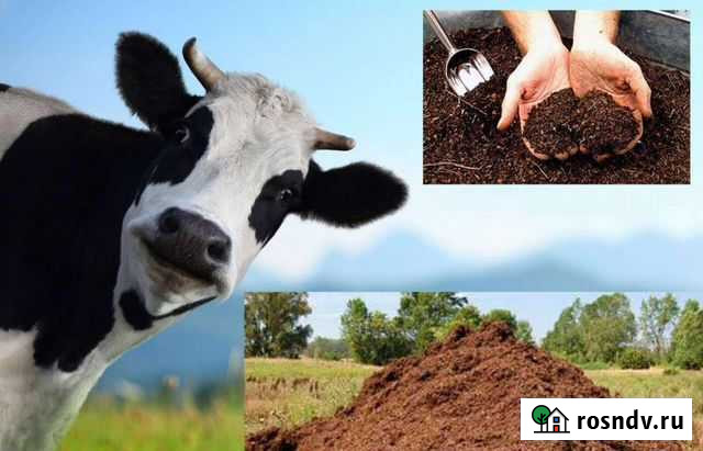 Навоз перегной Пенза - изображение 1