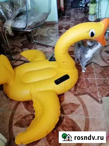 Лебедь надувной Ростов-на-Дону - изображение 1