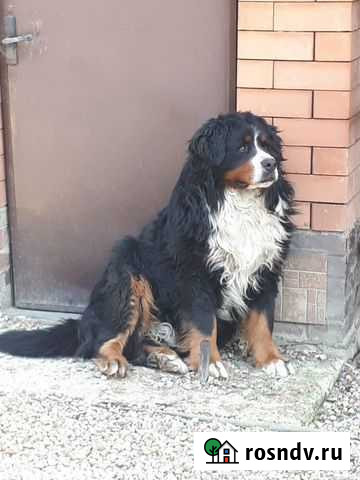 Вязка Армавир - изображение 1