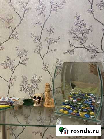 Аквариум с грунтом и украшениями Краснознаменск - изображение 1