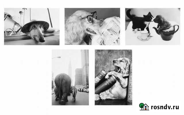 IKEA открытки/ новые Кемерово - изображение 1