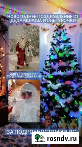 Дед Мороз и Снегурочка Кондопога - изображение 1