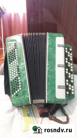 Баян Новоалтайск - изображение 1