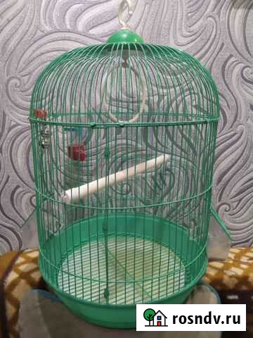 Клетка для попугая Братск - изображение 1