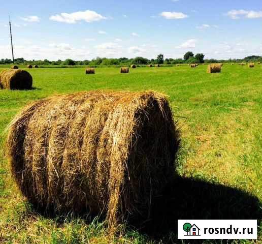 Сено Емельяново - изображение 1