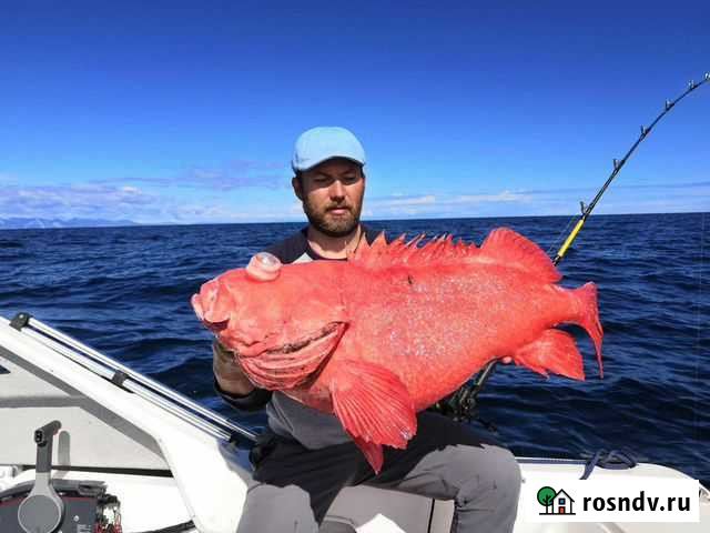 Морская рыбалка Петропавловск-Камчатский - изображение 1