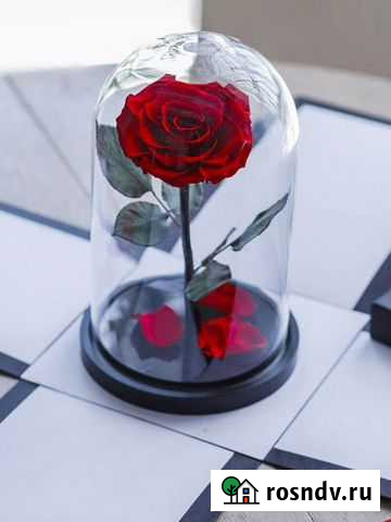 Долговечная роза Санкт-Петербург - изображение 1