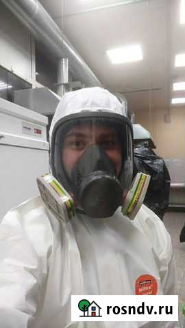 Уничтожение клопов, тараканов, клещей. Дезинфекция Тверь - изображение 1