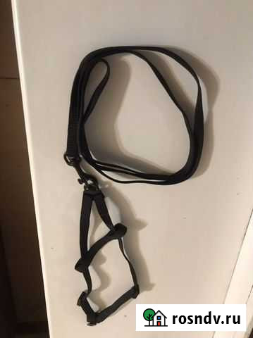 Шлейка для кошки (кролика ) Серпухов - изображение 1