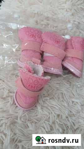 Ботинки для маленьких собак Коломна - изображение 1