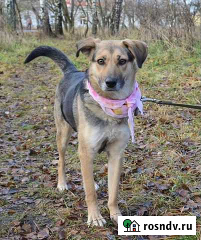 Молоденькая девочка охранница Иваново - изображение 1