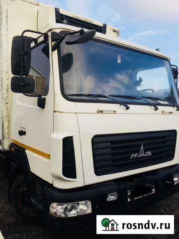 Маз зубренок Белгород - изображение 1