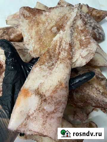 Кальмар командорский Рязань - изображение 1