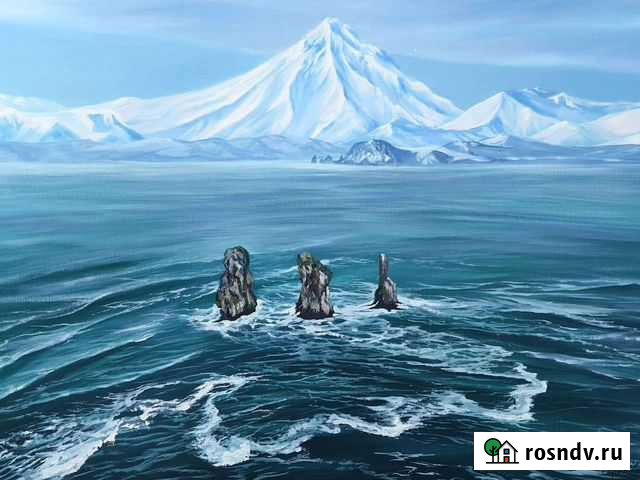 Картина маслом Камчатка Петропавловск-Камчатский - изображение 1