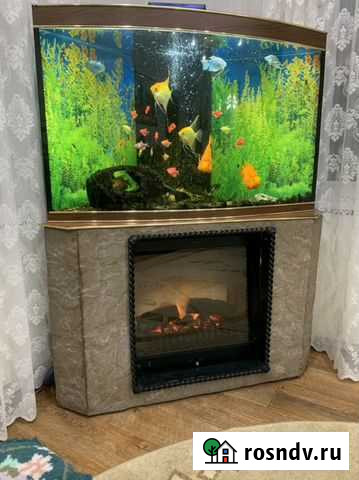 Аквариум + камин электрический Абакан - изображение 1