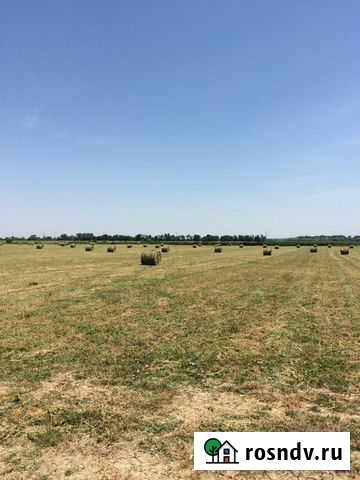 Сено Троицкая - изображение 1