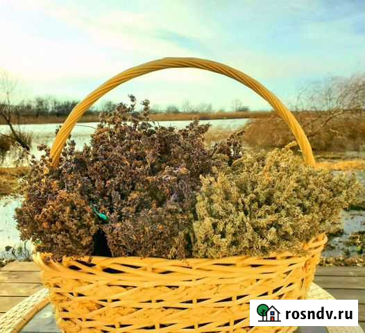 Лаванда сухоцвет букеты Краснодар - изображение 1