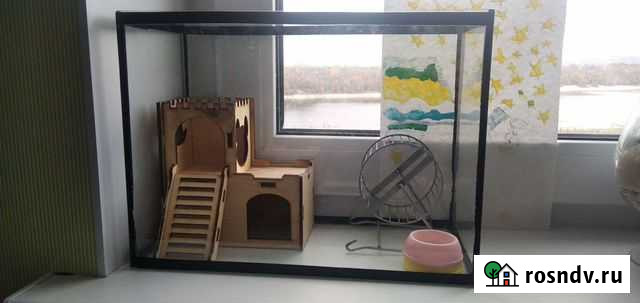 Аквариум Дзержинск - изображение 1