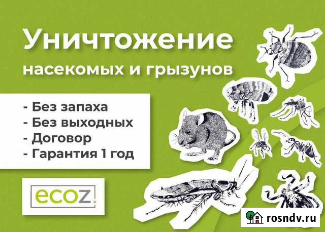 Уничтожение травля Тараканов и клопов, без запаха Владивосток - изображение 1