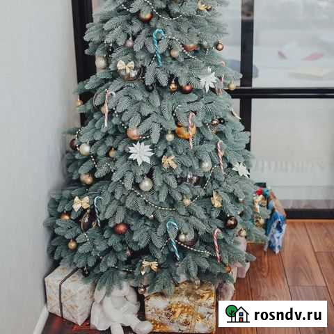 Елка голубая литая Москва - изображение 1